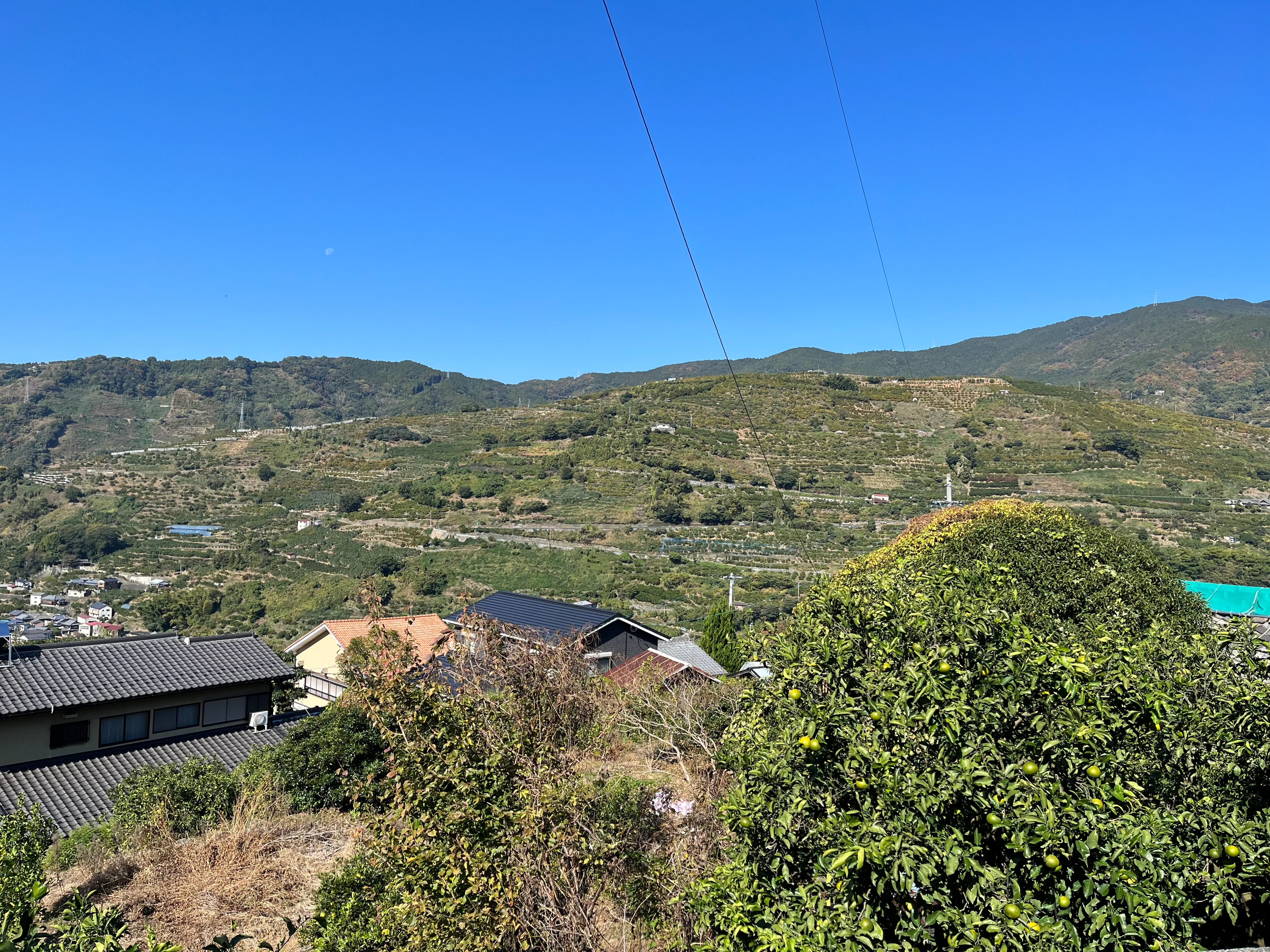 yawata pictures 7