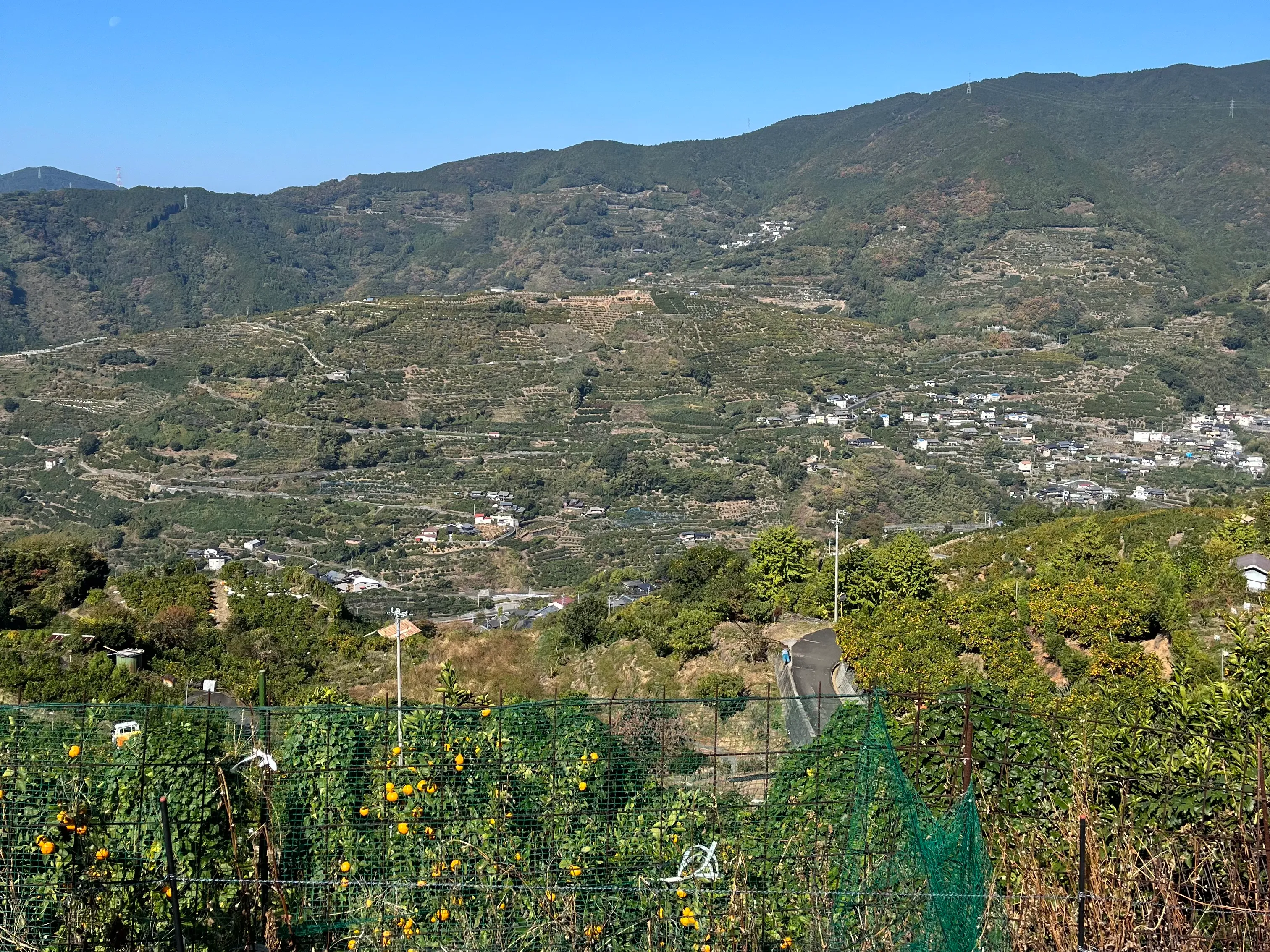 yawata pictures 6